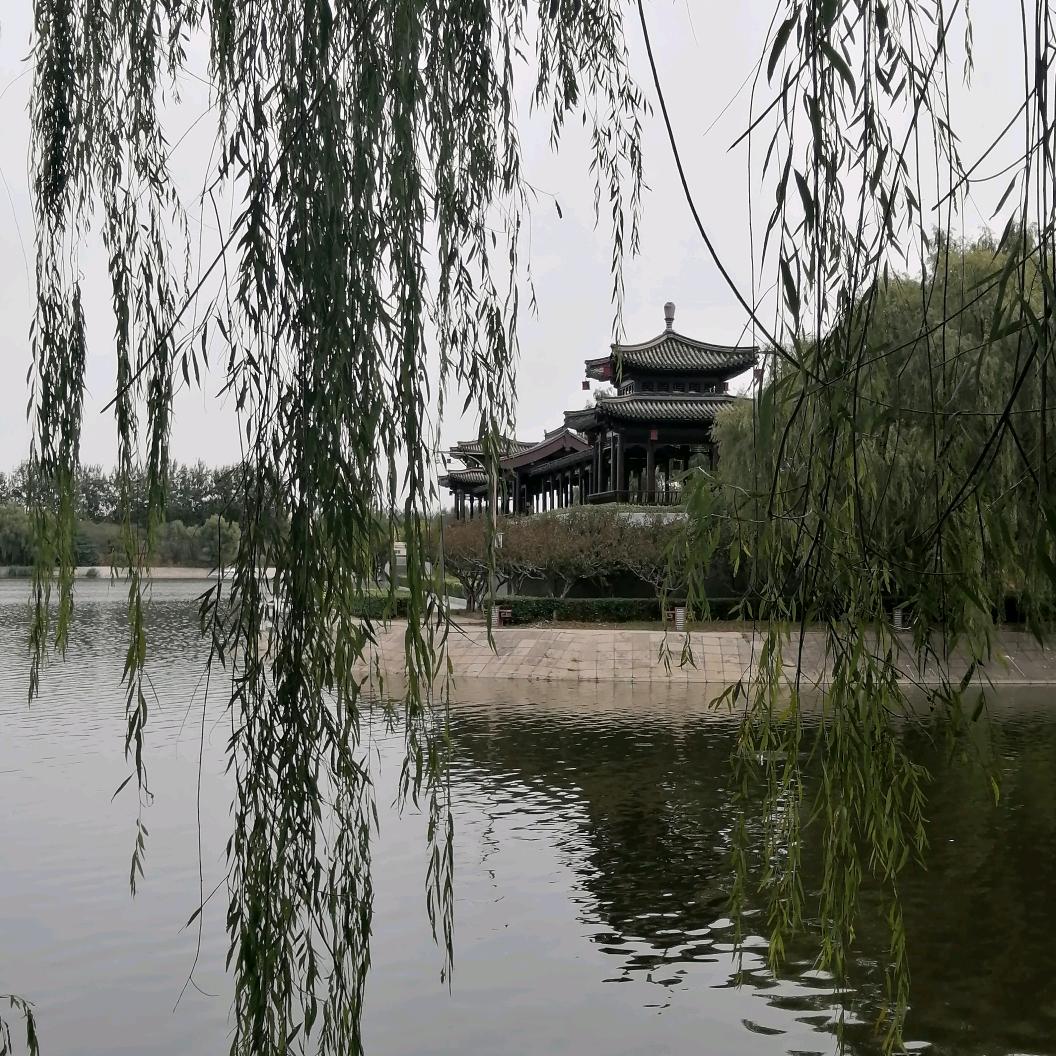 北京老薛