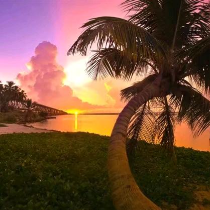 开心生活每一天