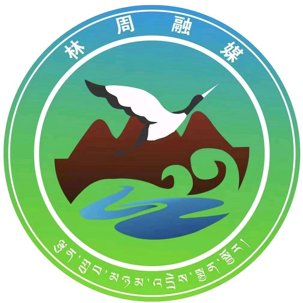 林周融媒