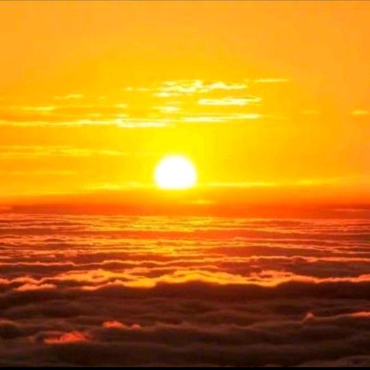 ☀️☀️释然