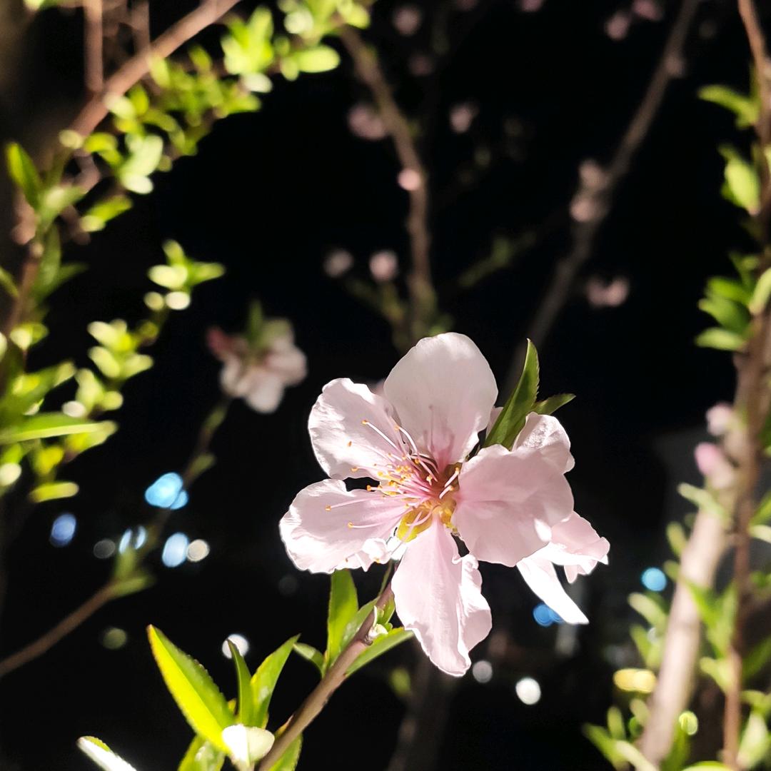 饰水留年