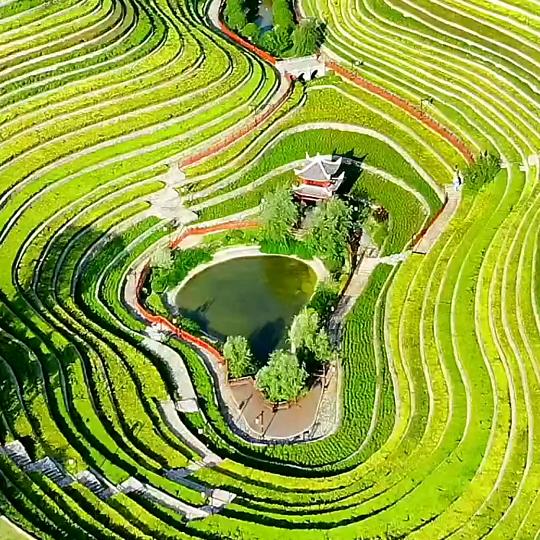 周宸伊🌻