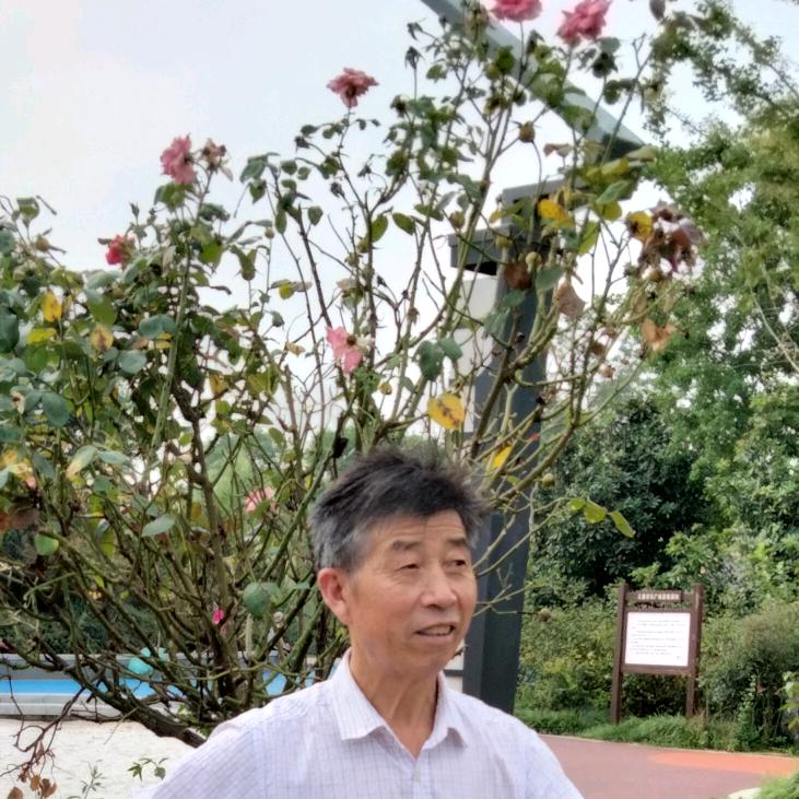 摆地摊老杨