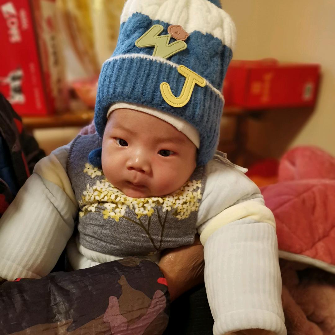 鲸鱼日记🐳
