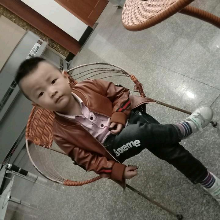 红烈鸟