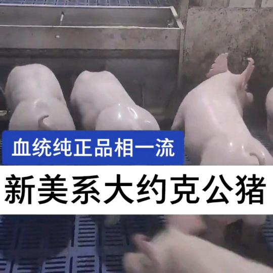 中大利源