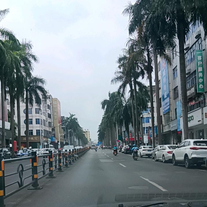 金光闪闪