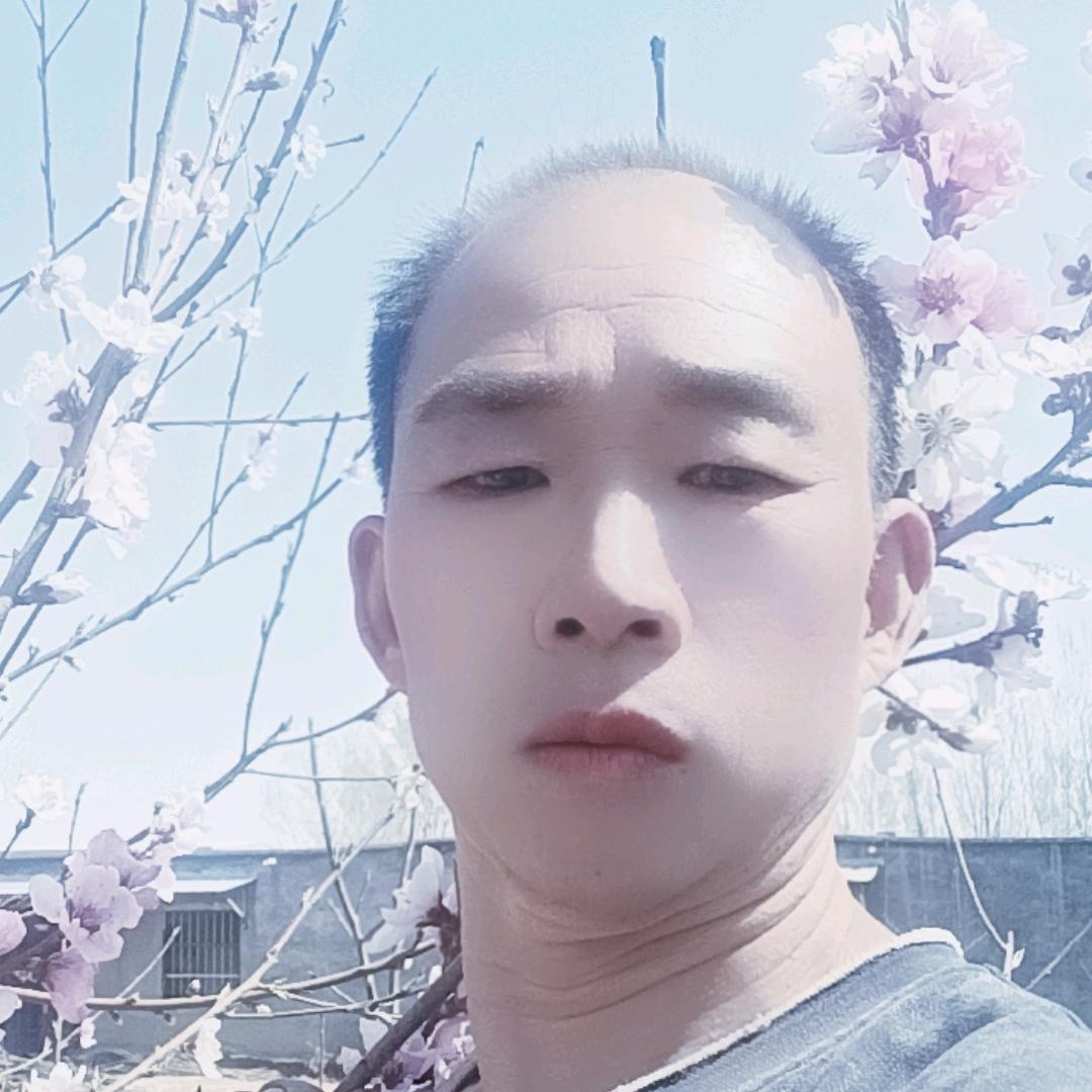 锦上添花