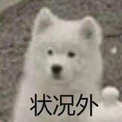 牵着羊羊去牧笛🪈