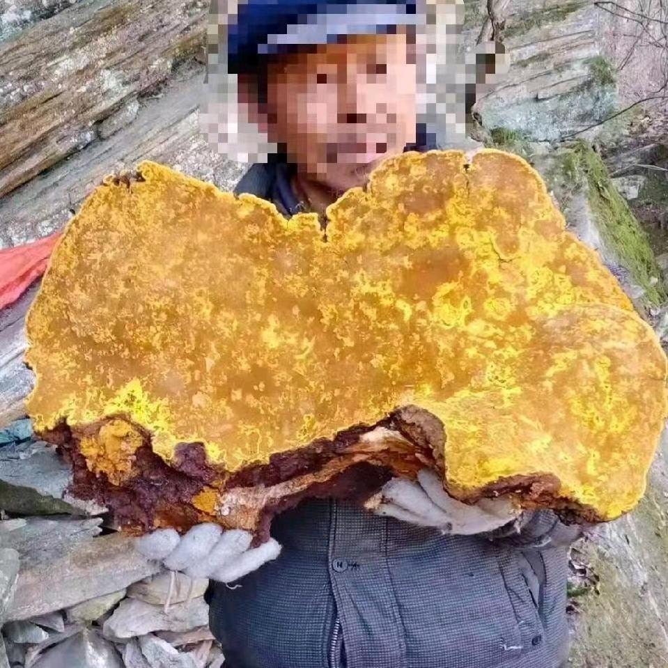 无名氏丿土特产
