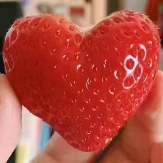 重头再来，东山再起