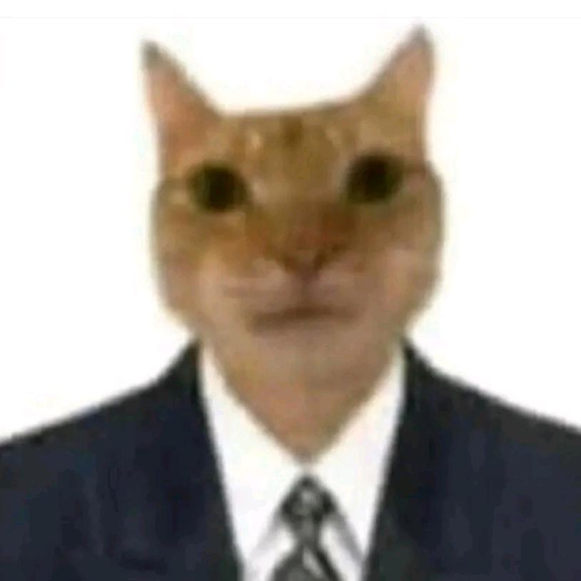 桌子
