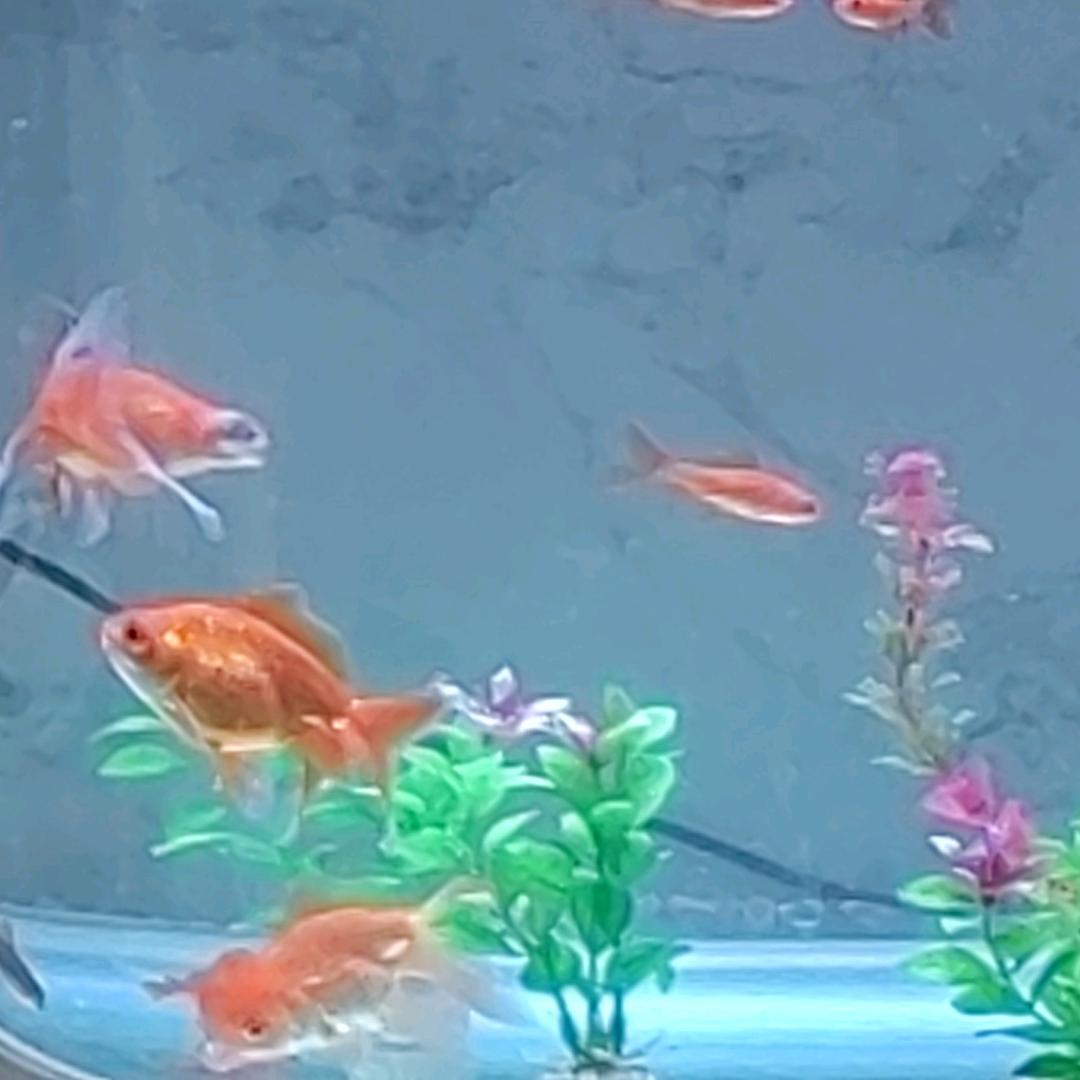 深圳的约会