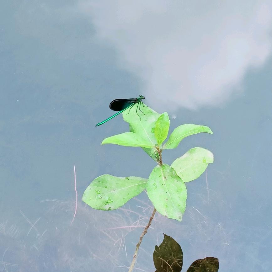 风吹过、雨来过