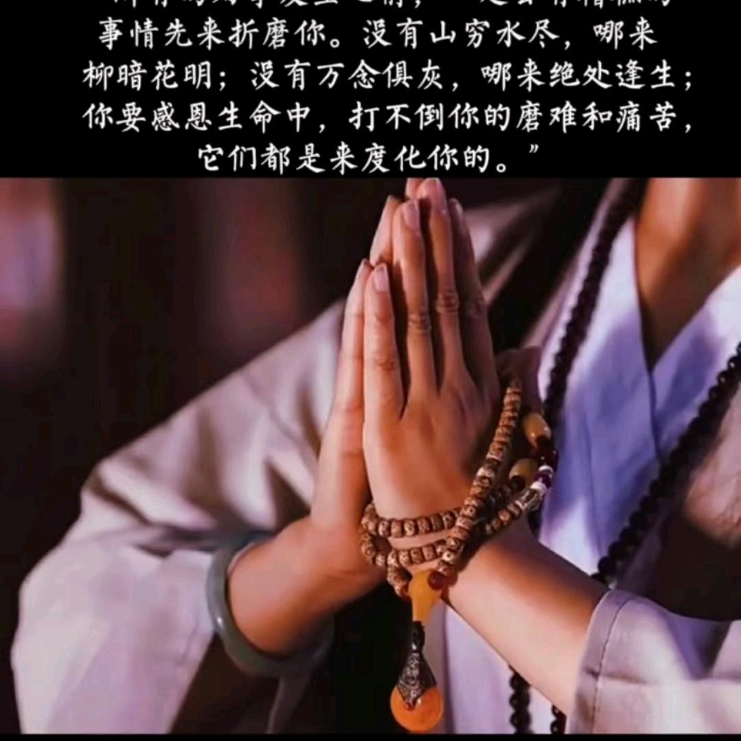 青灯佛茶🙏🙏