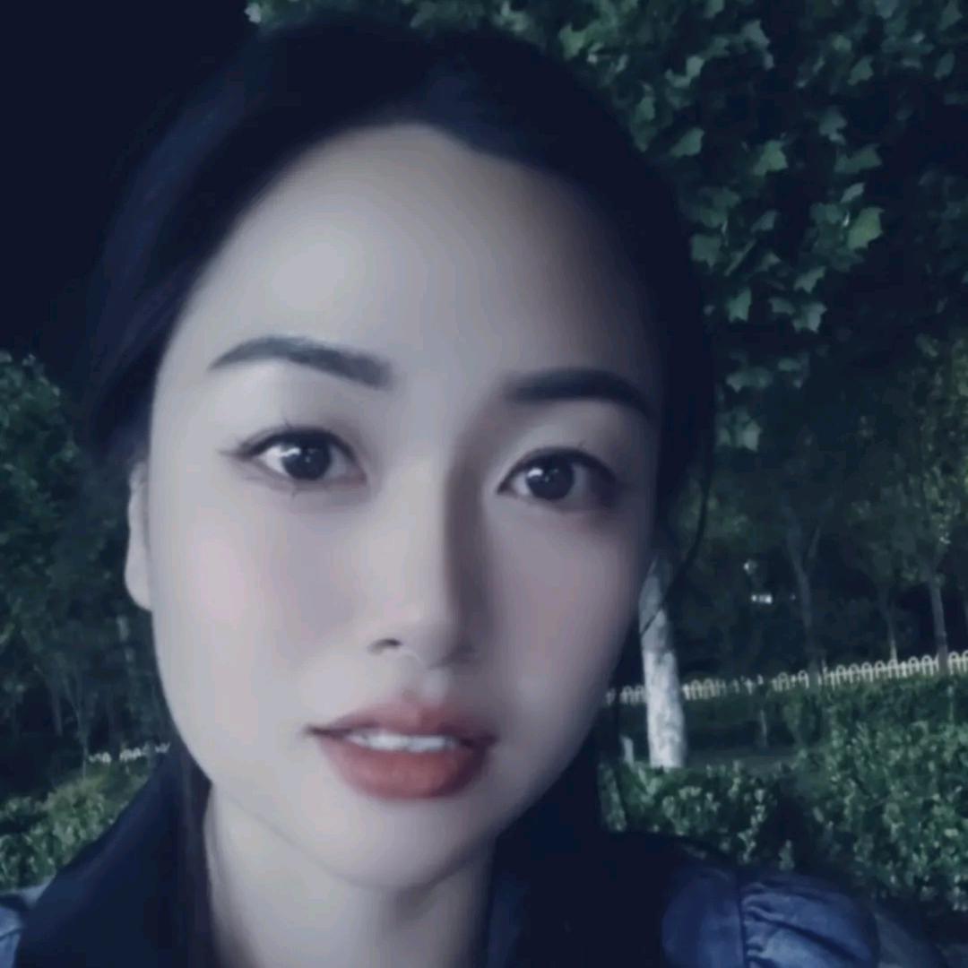 梧桐树下的森林