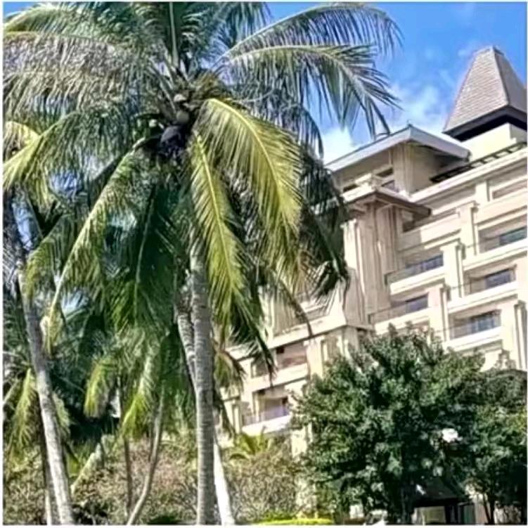 水有源  树有根