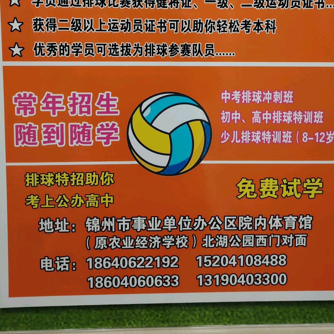 排球俱乐部