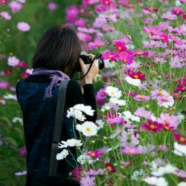 A常年经销煤炭乔西常伟煤场