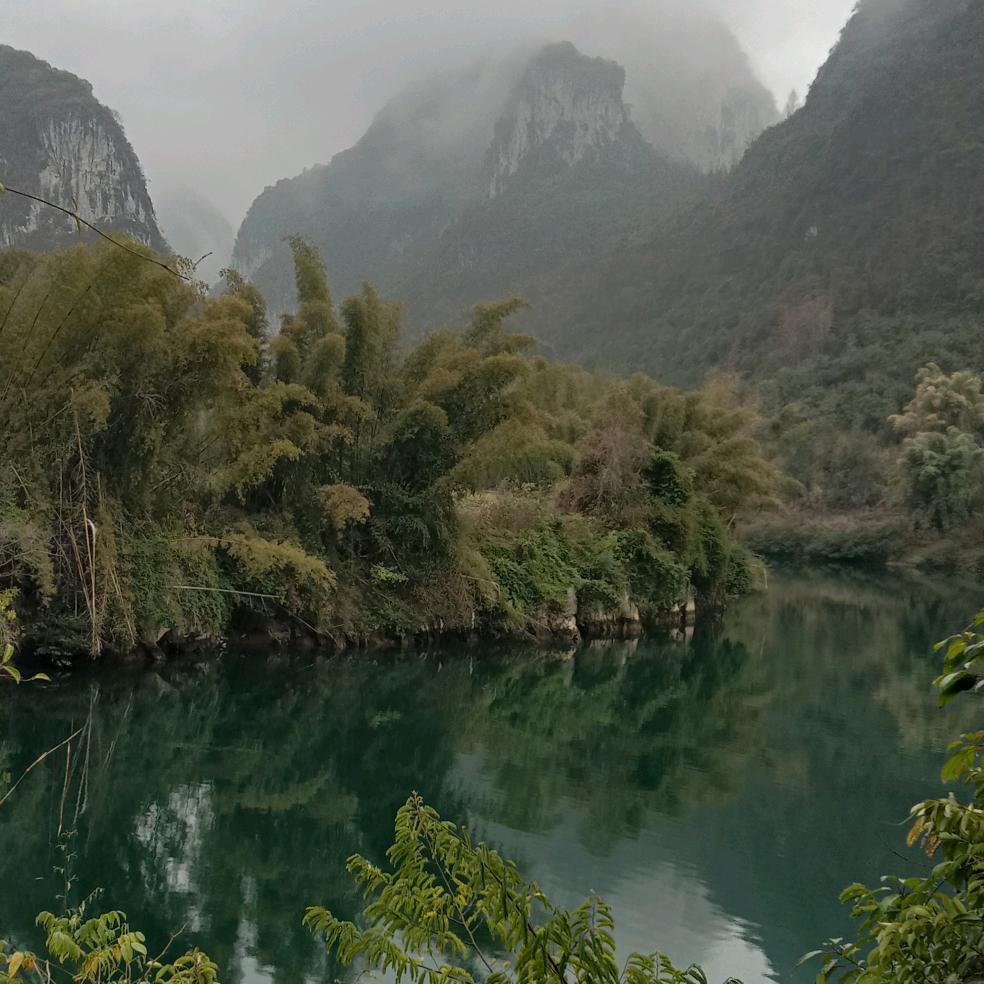 东莞长安阿韦韦