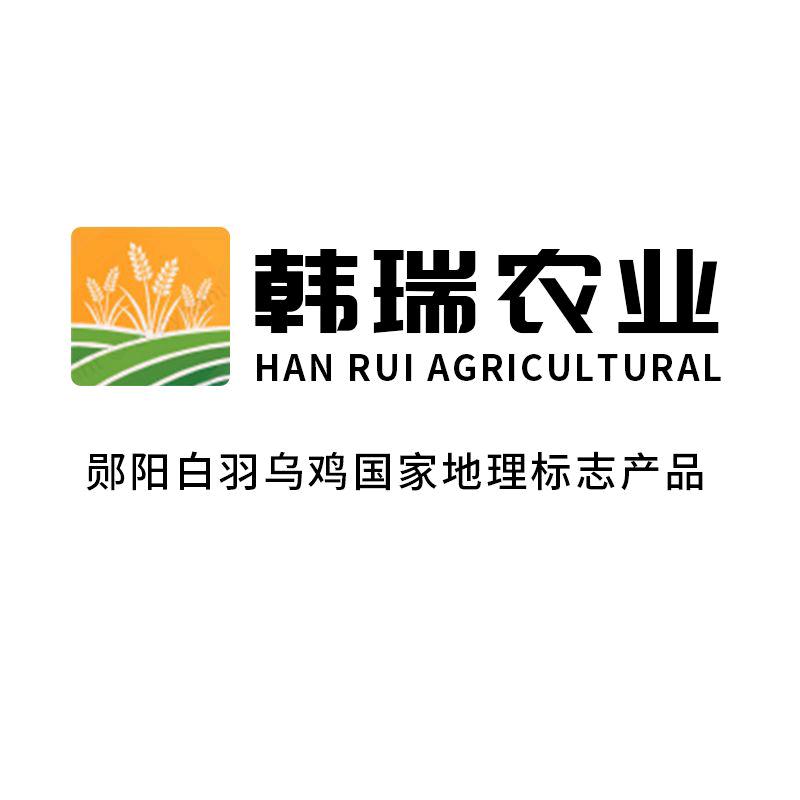 韩瑞农业白羽乌鸡