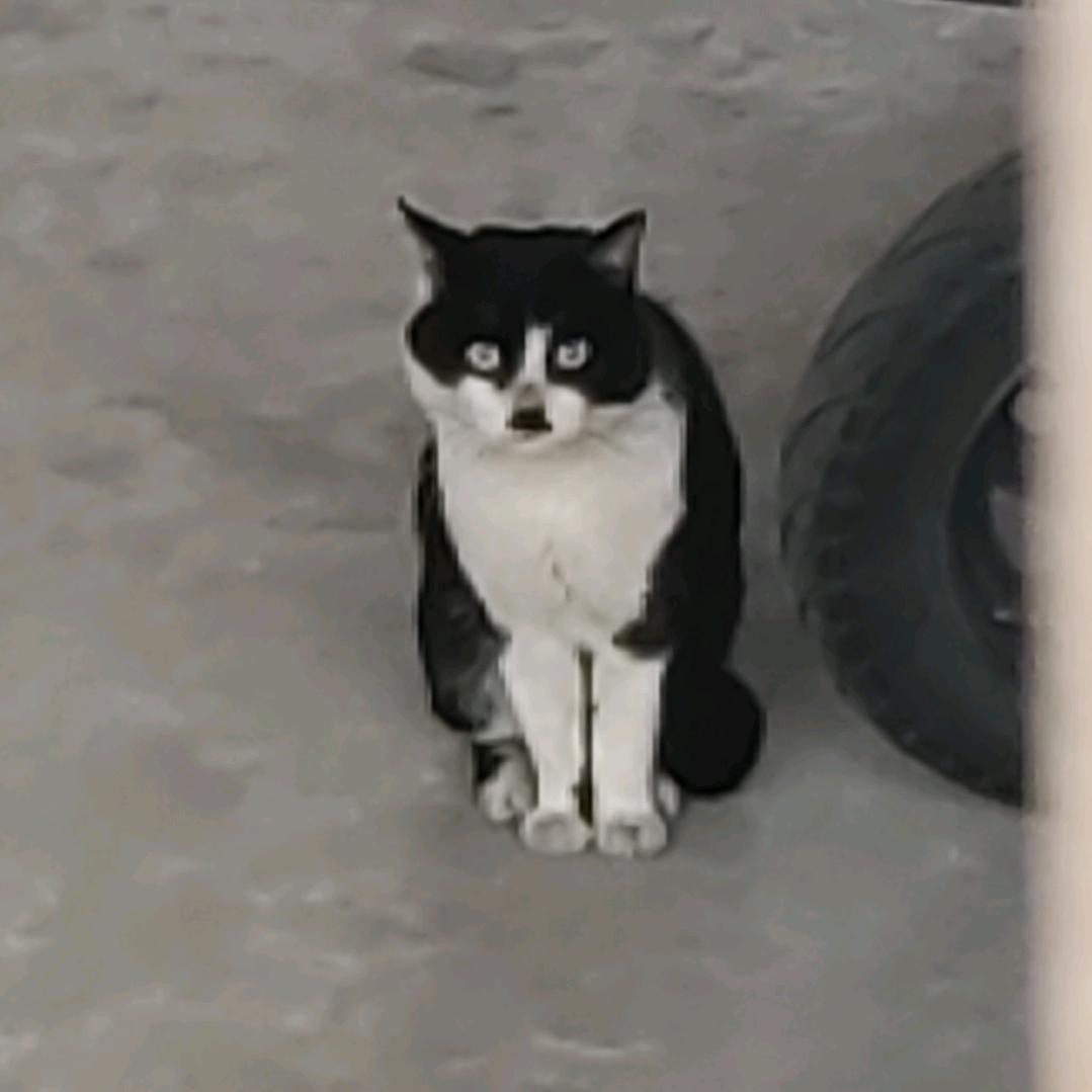 唐宋八大家_