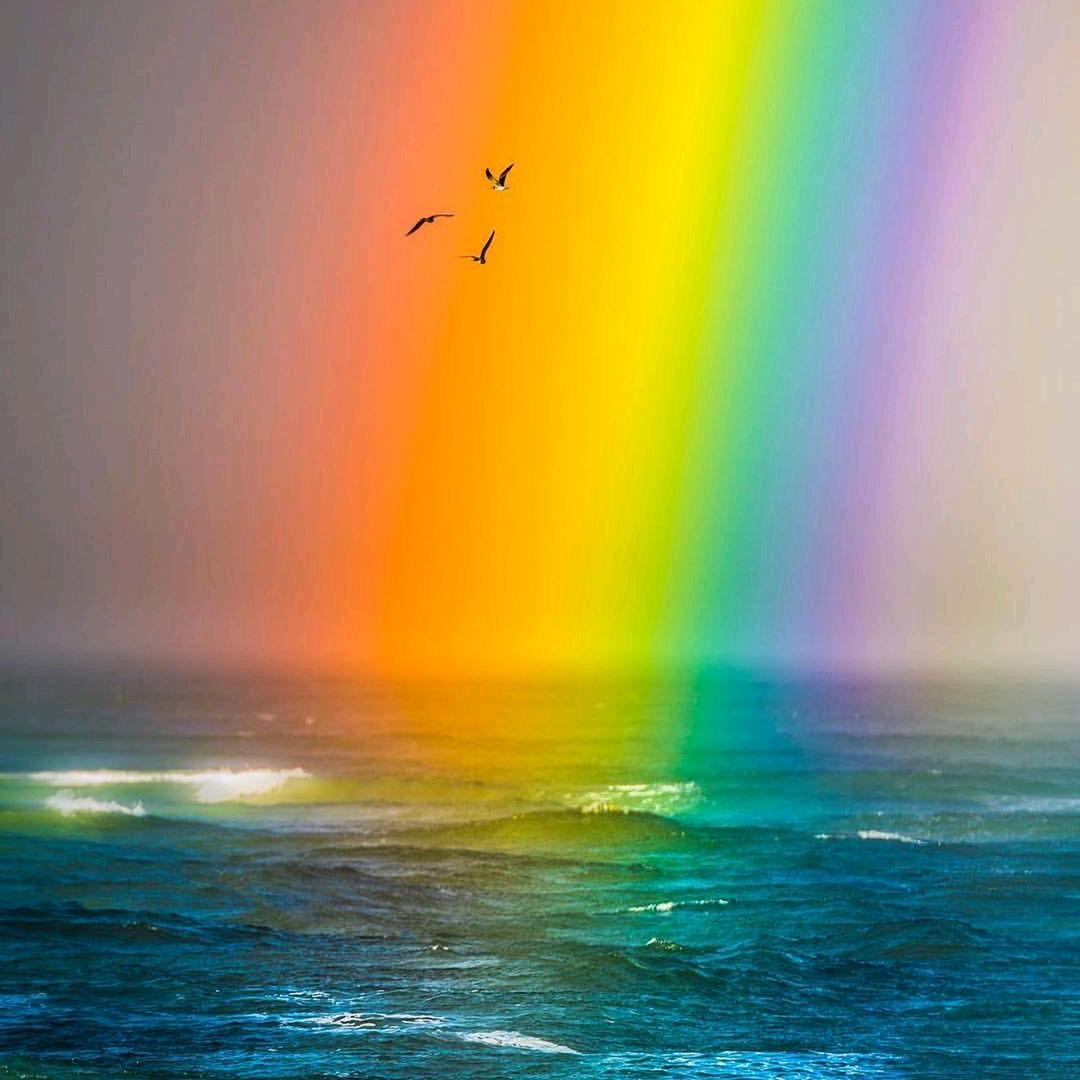 彩虹🌈