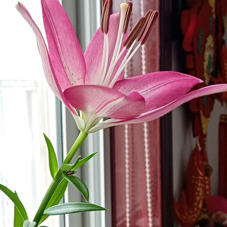 馨燚宝贝