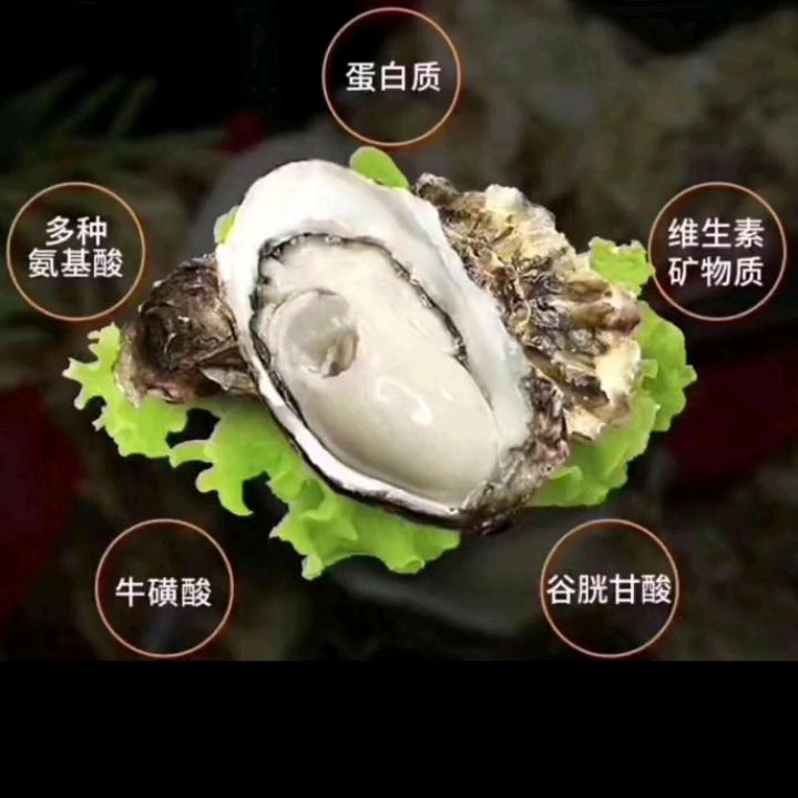 燕子