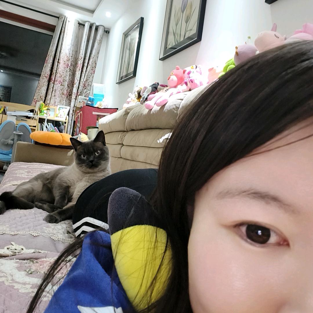 半截袖