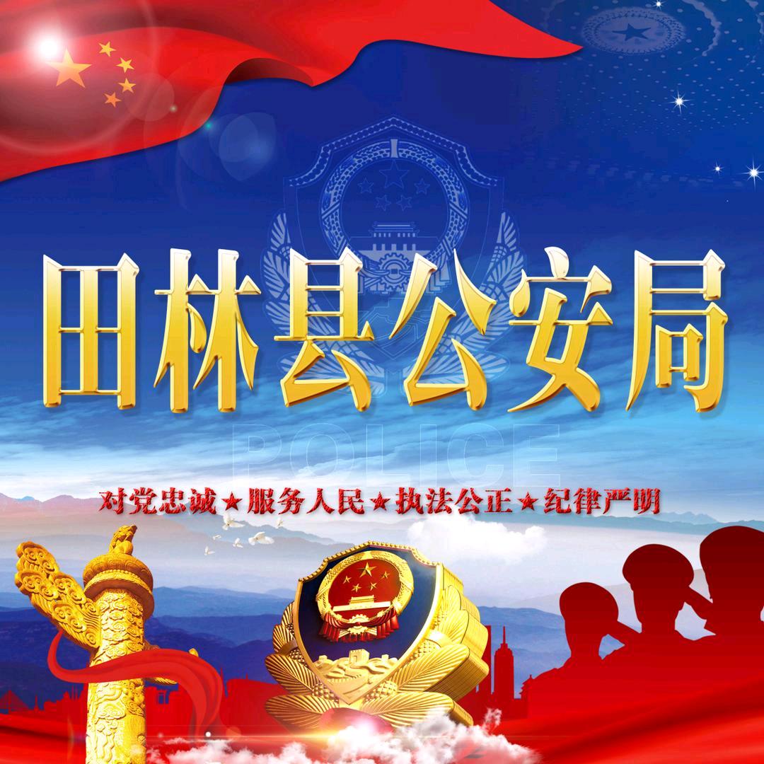 田林县公安局