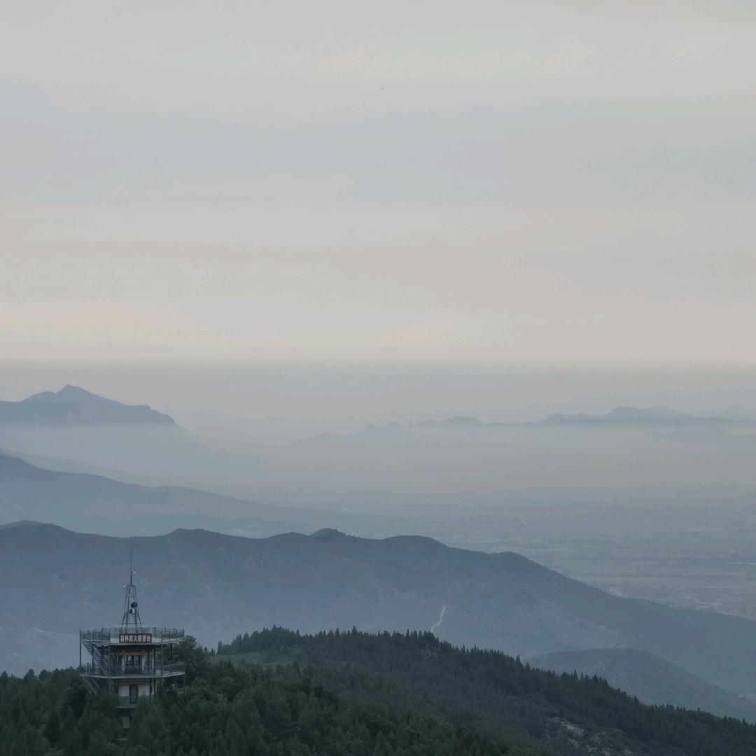抓根宝头像