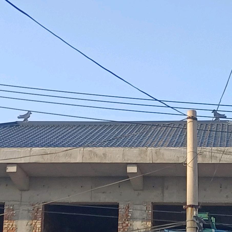 彩石瓦，彩钢，树脂瓦，楼梯