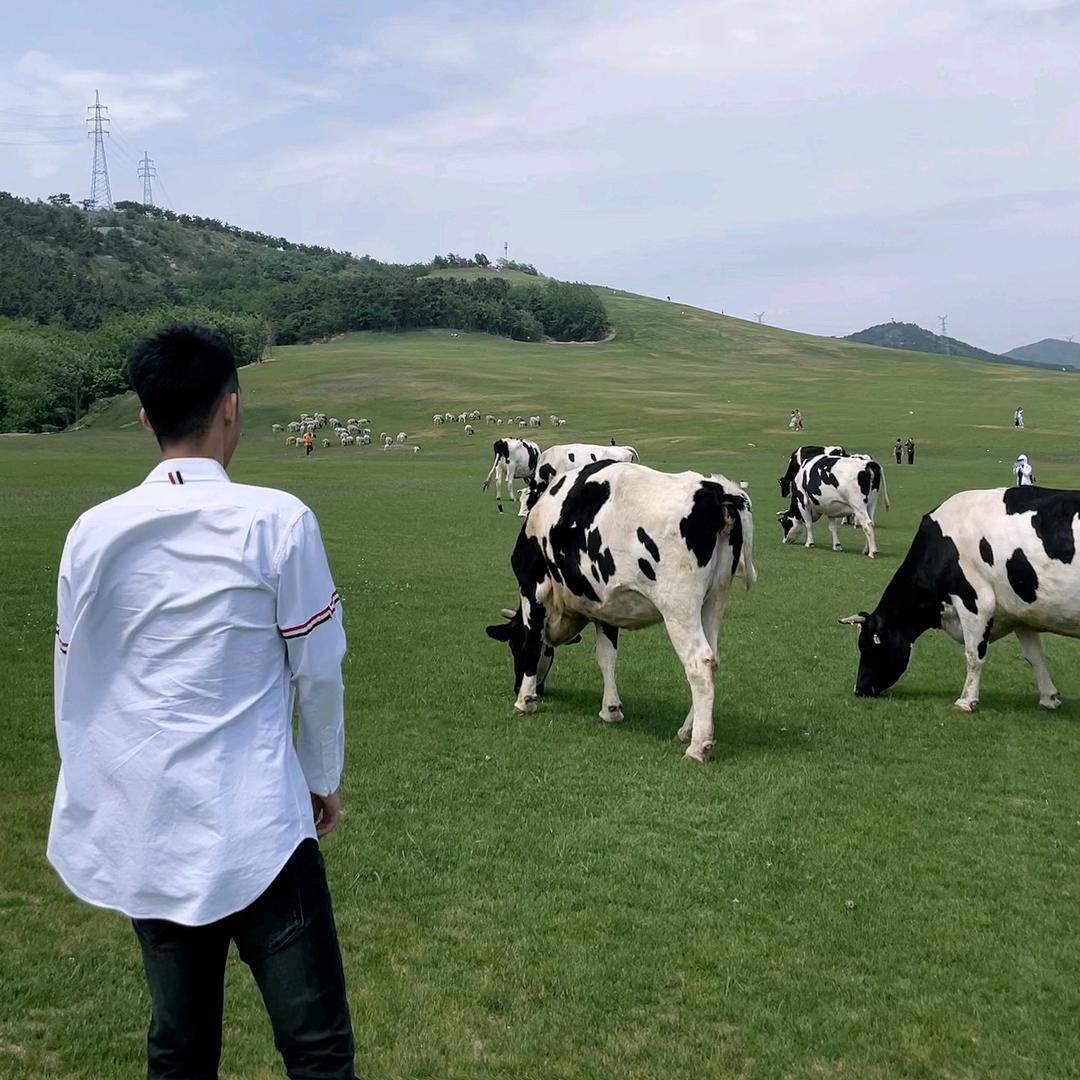 境