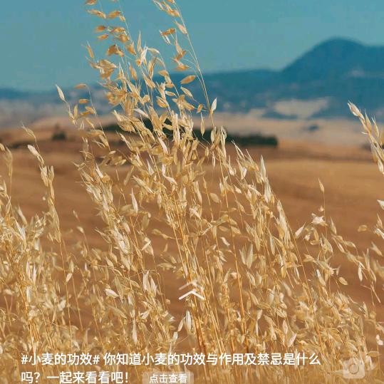 丁顺顺
