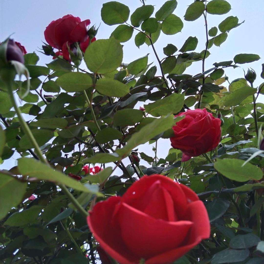 ❤平平淡淡才是真