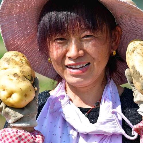 农资经销小张（商品在橱窗）