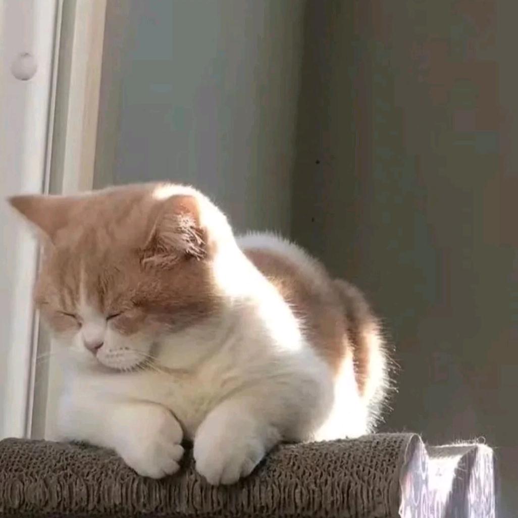 *