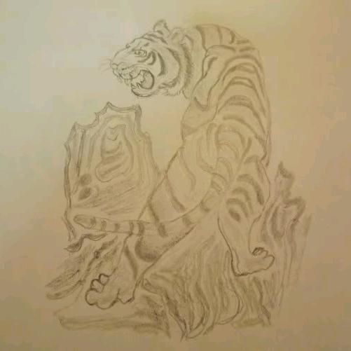 抓住青春的小尾巴