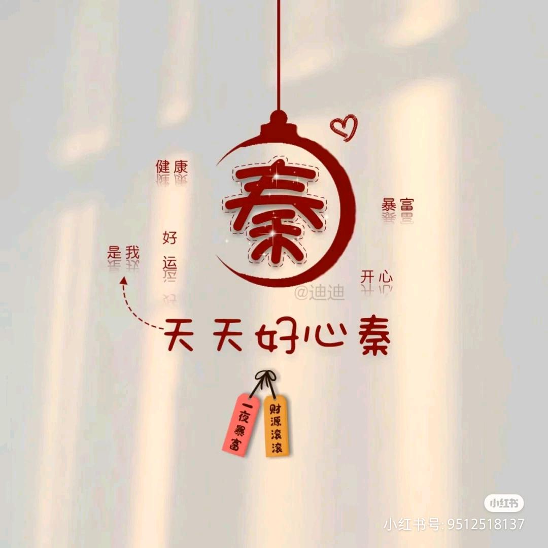 秦无怨无悔