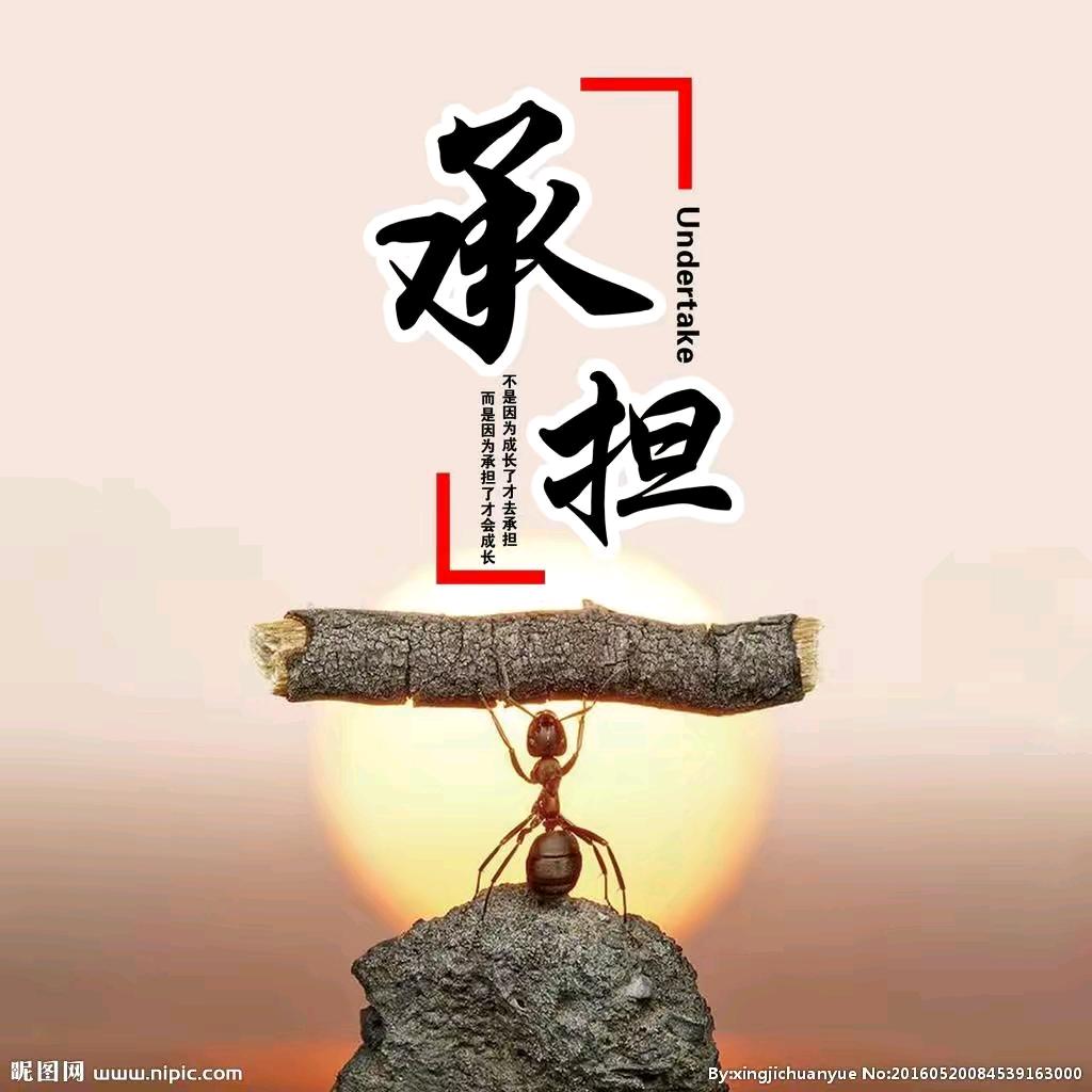 随心