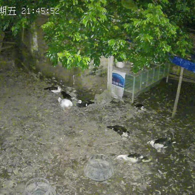 快乐