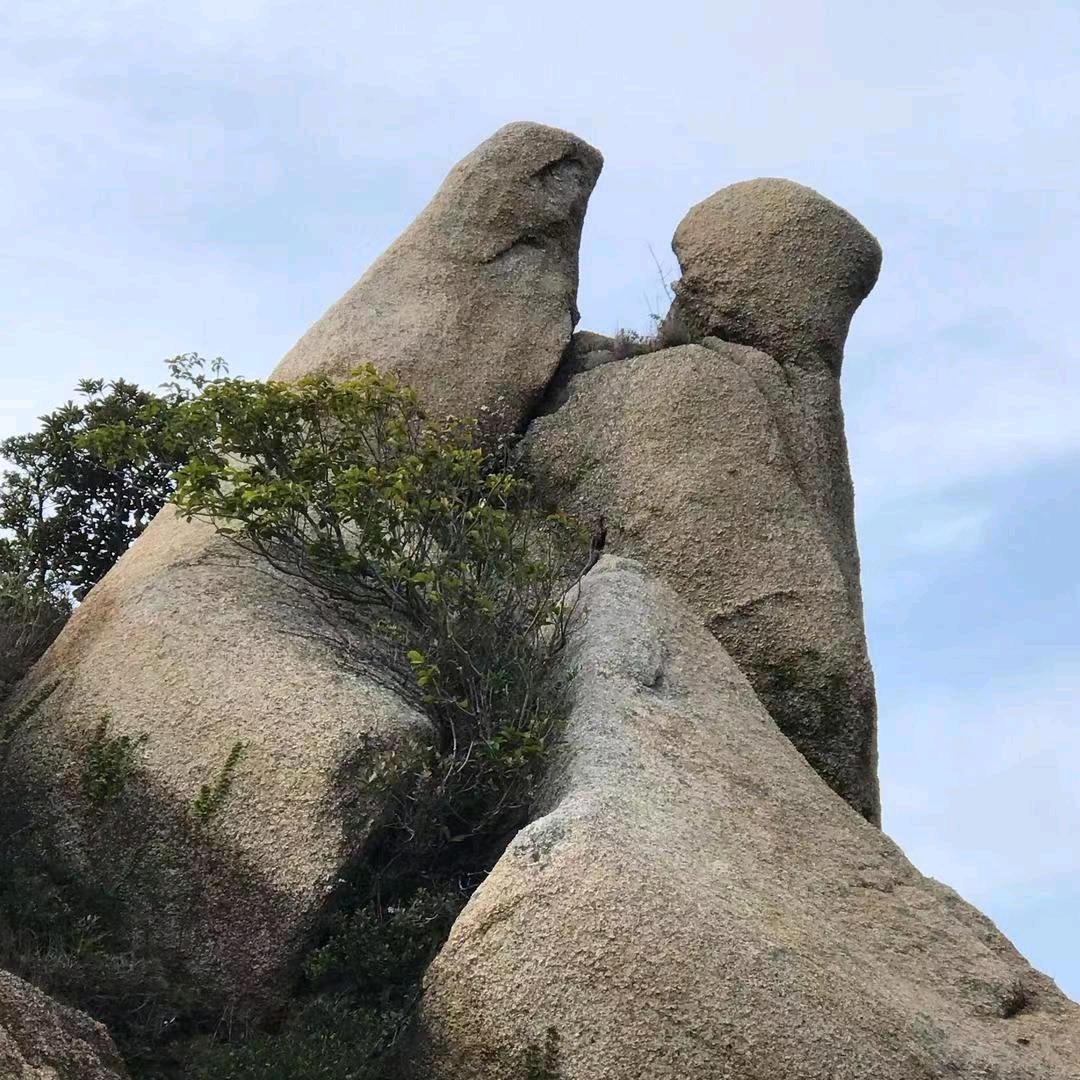人生何处不相逢，罗芳堃