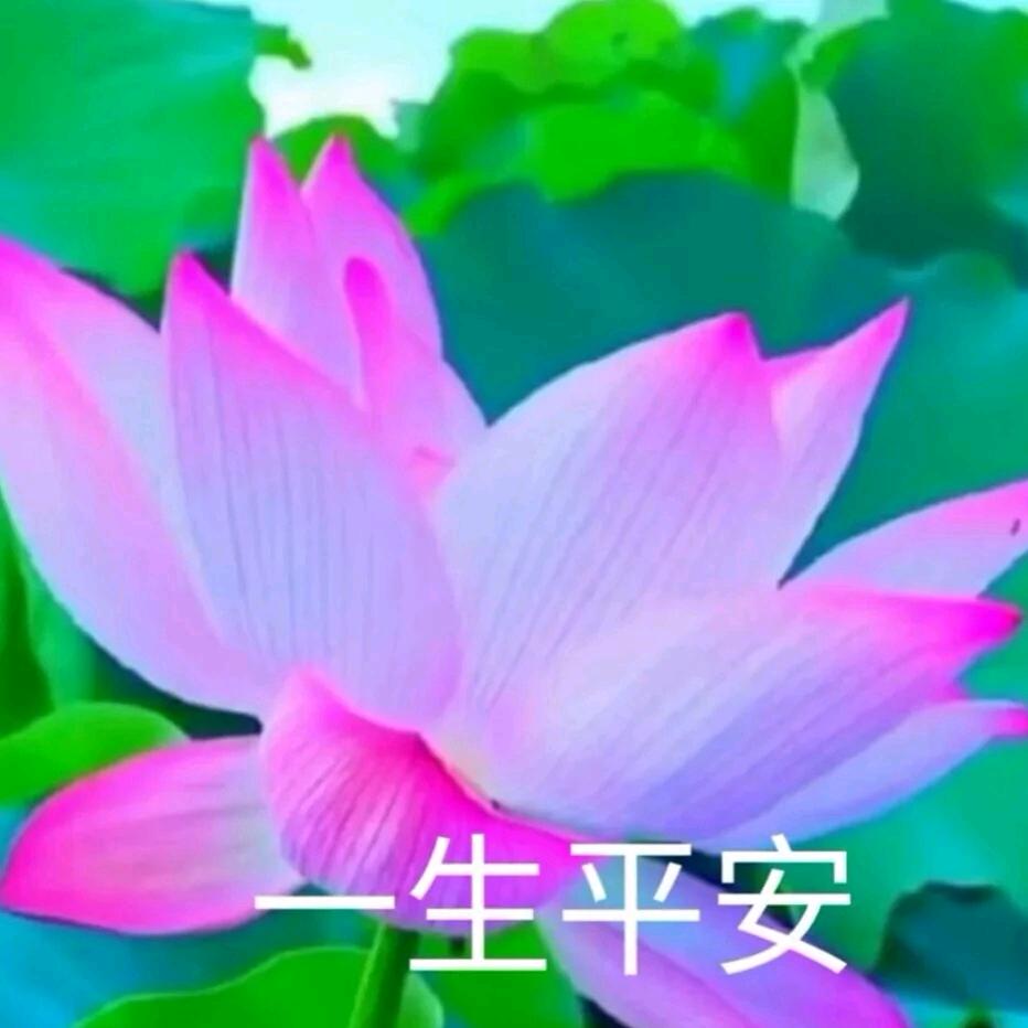 春暖花香