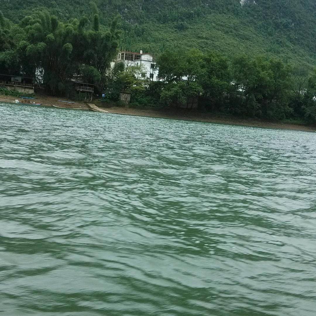 如诗如画🌸
