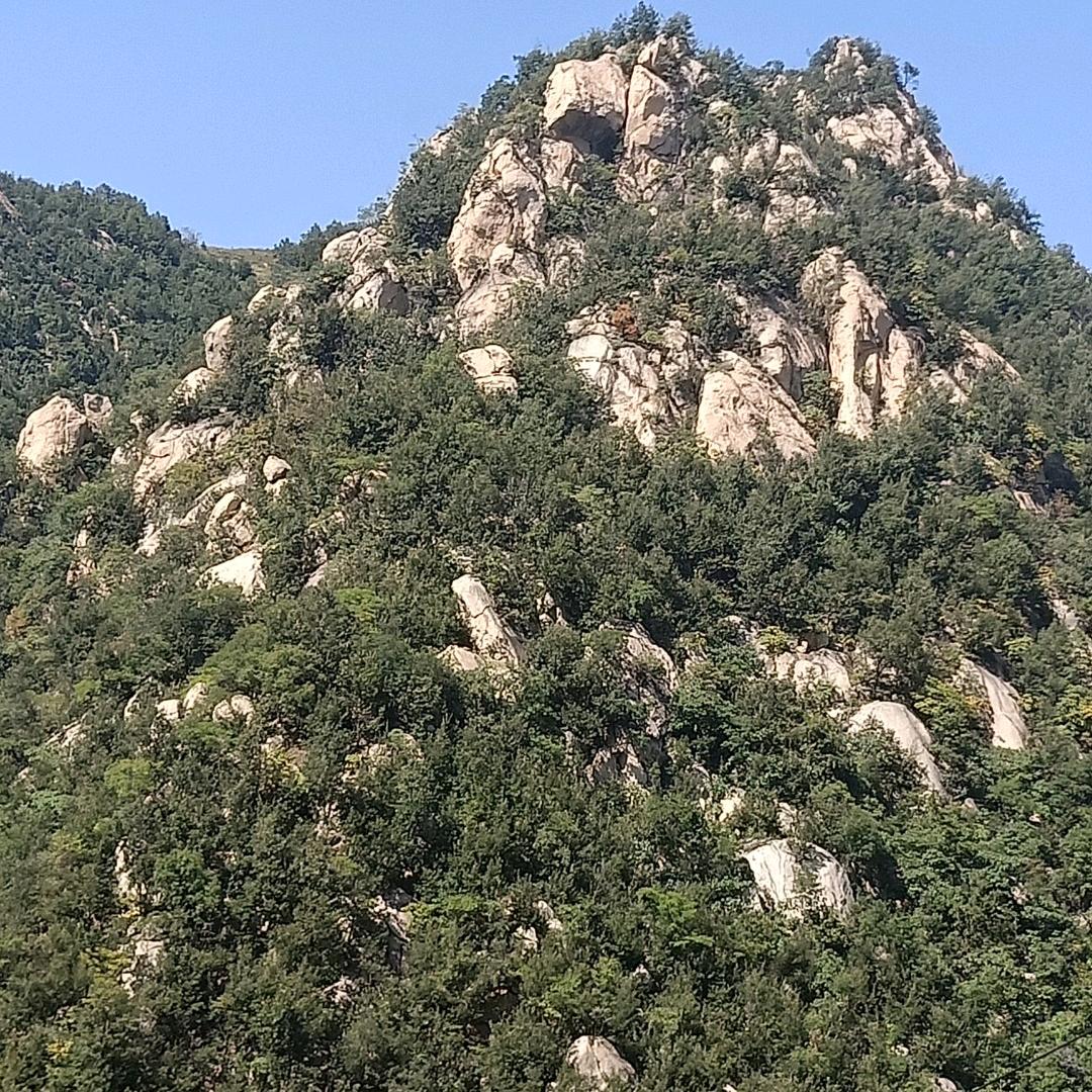 钓鱼爱好者