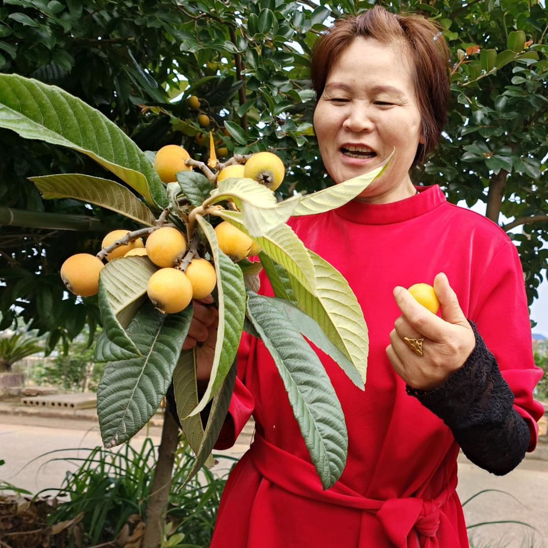 吴姐