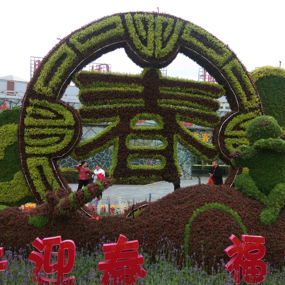 河南军哥