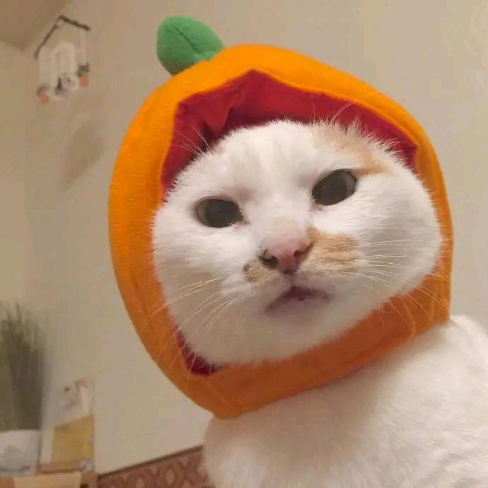 瑶一瑶⑧⁰⁷¹⁷