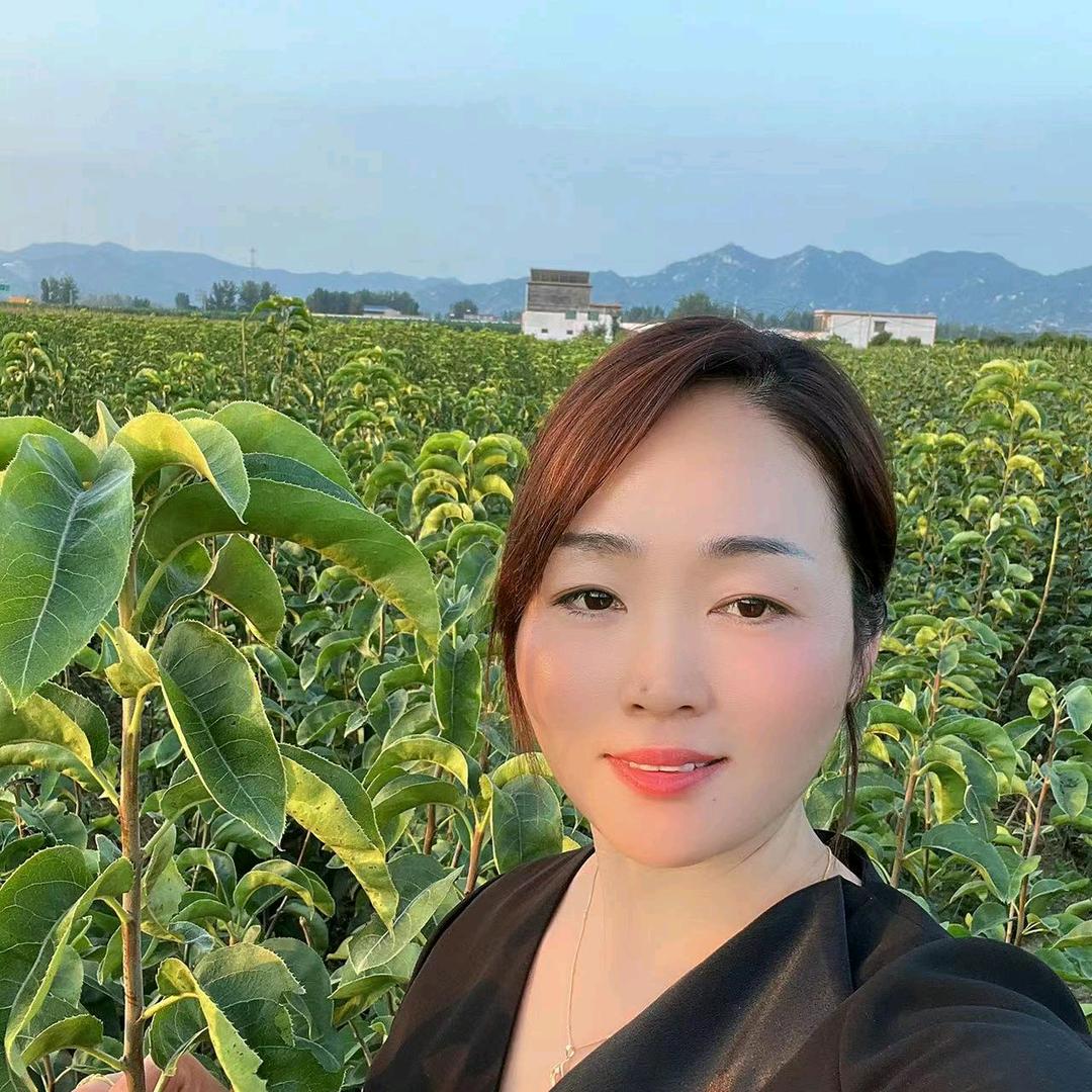伟奇苗木！育苗基地
